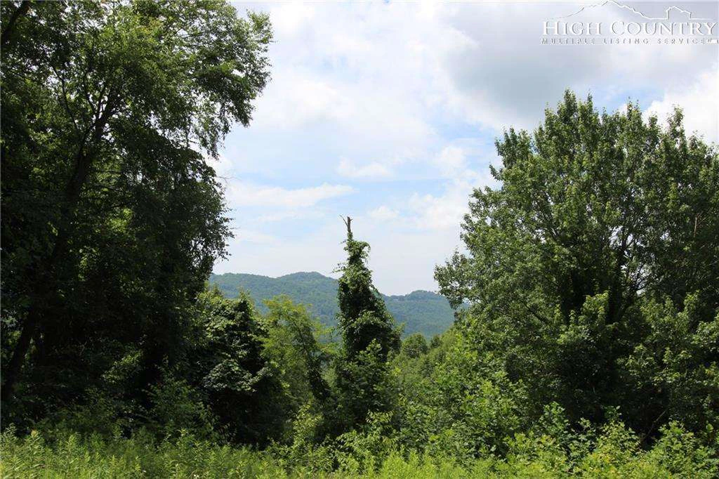 Image number 1 for the current listing