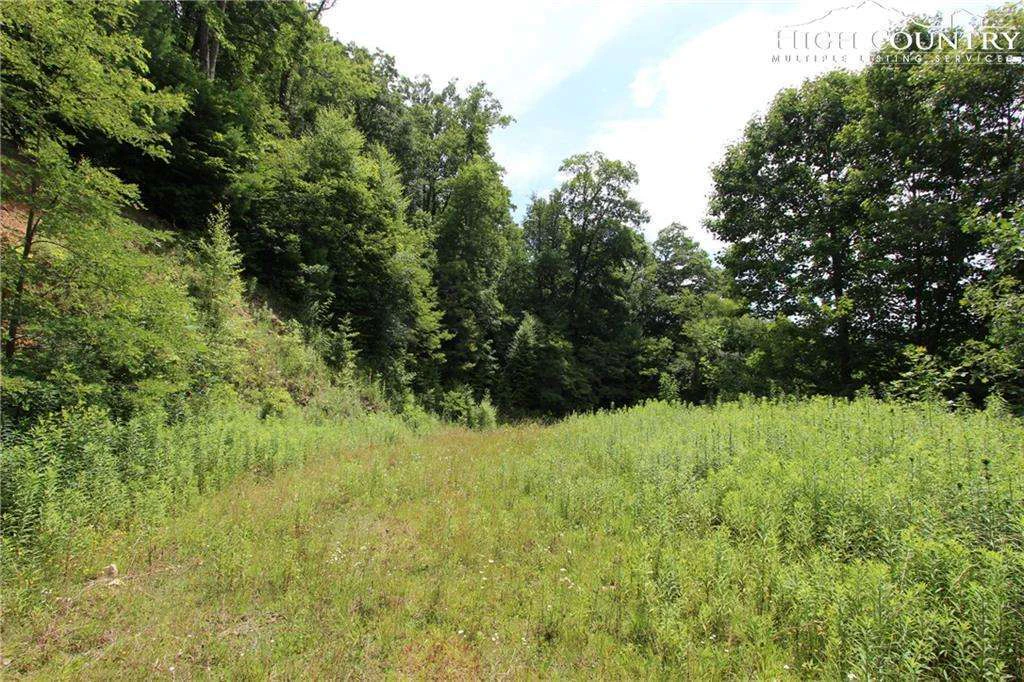 Image number 11 for the current listing
