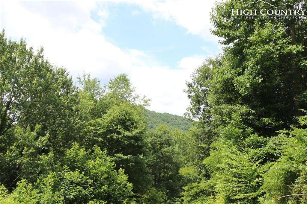 Image number 12 for the current listing