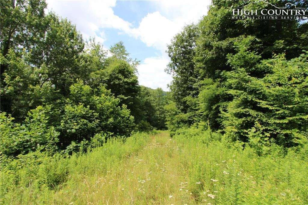 Image number 13 for the current listing