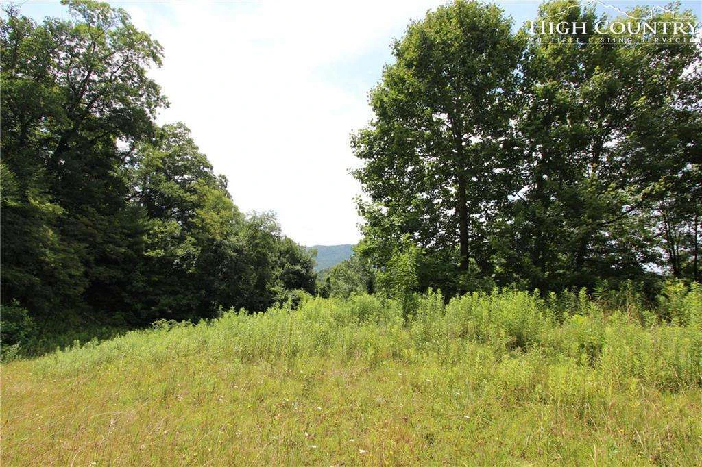 Image number 4 for the current listing