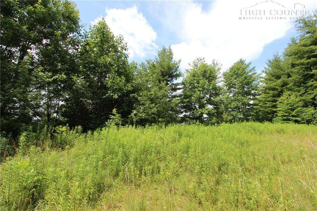 Image number 5 for the current listing