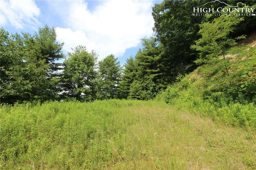 Image number 6 for the current listing
