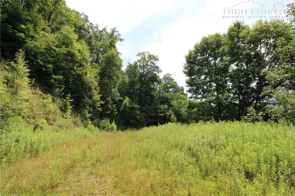 Image number 7 for the current listing