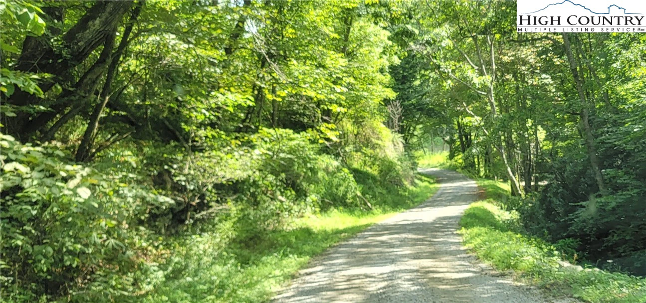 Image number 3 for the current listing
