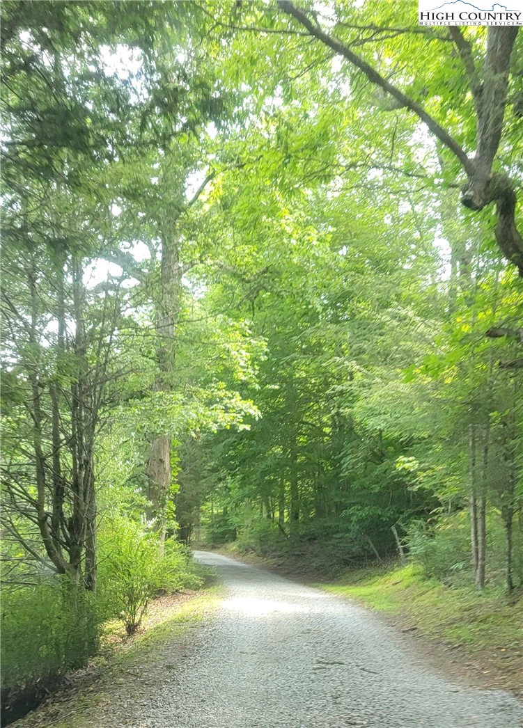 Image number 4 for the current listing
