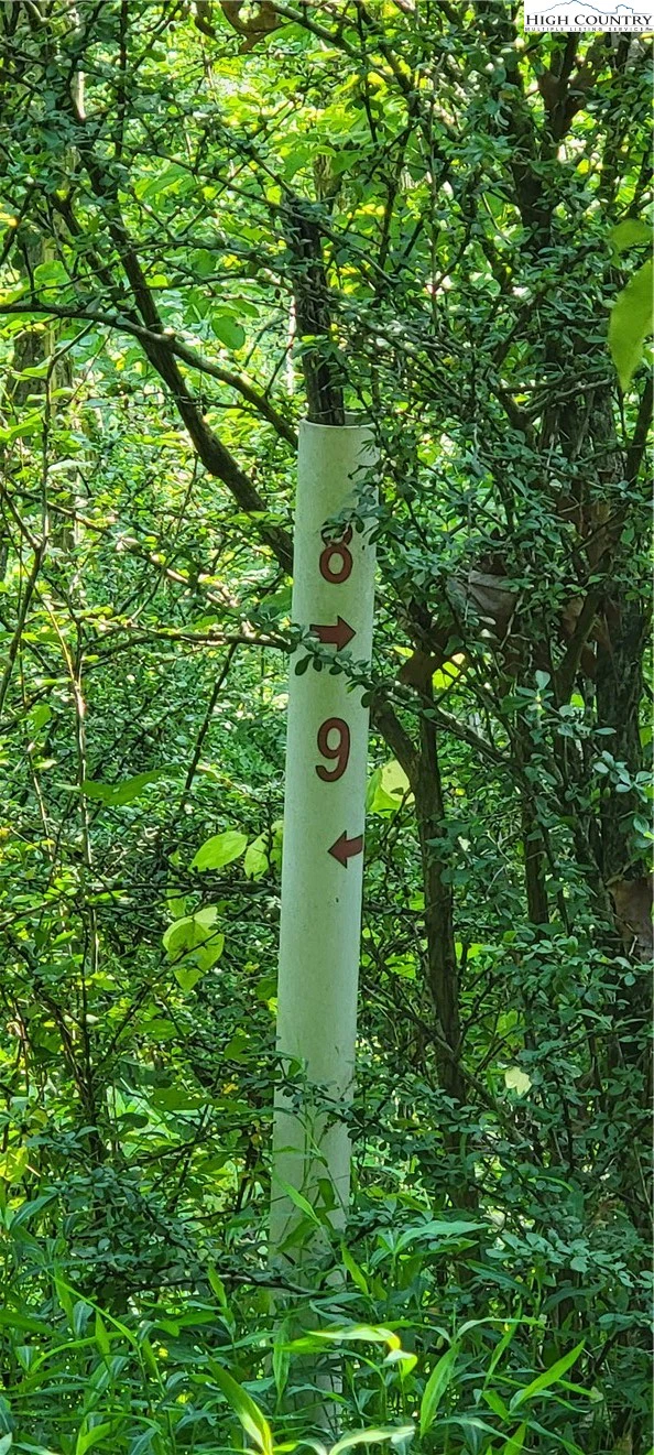 Image number 7 for the current listing