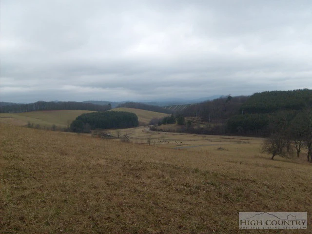Image number 1 for the current listing