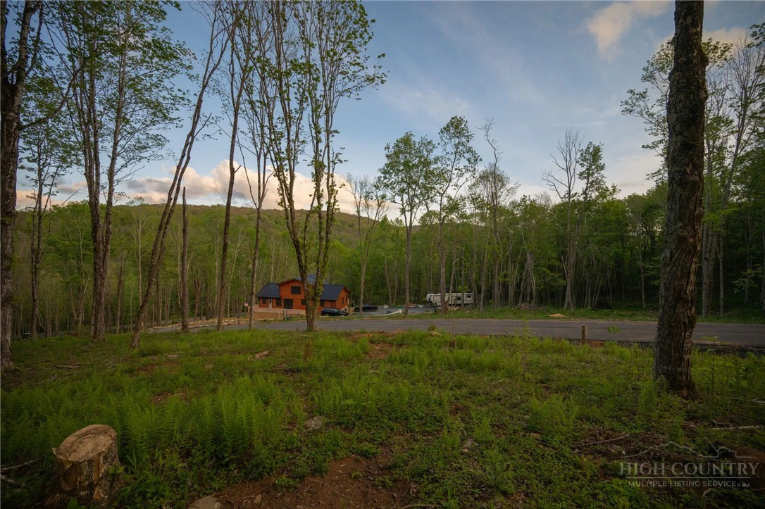 Image number 1 for the current listing