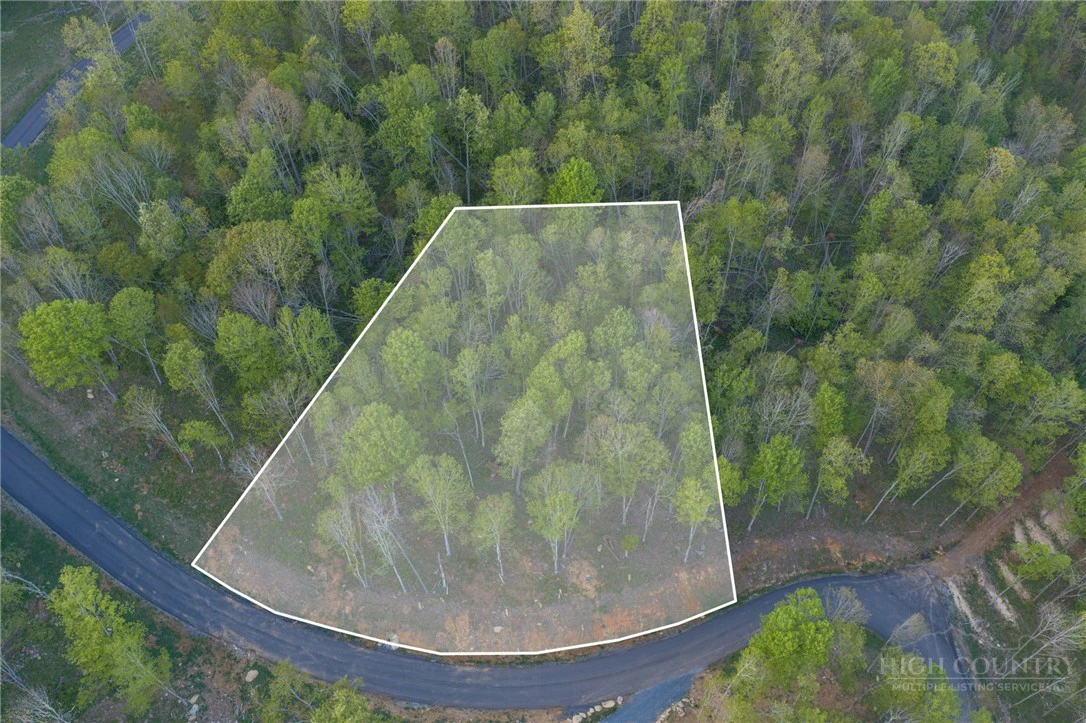 Image number 5 for the current listing