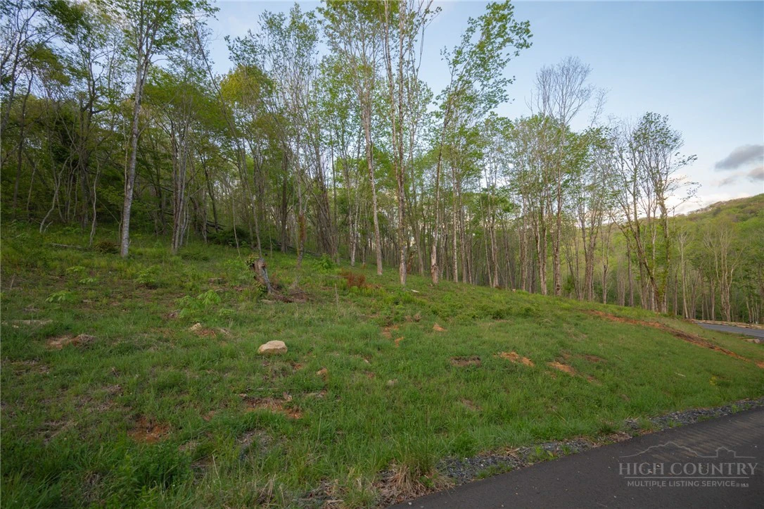 Image number 9 for the current listing
