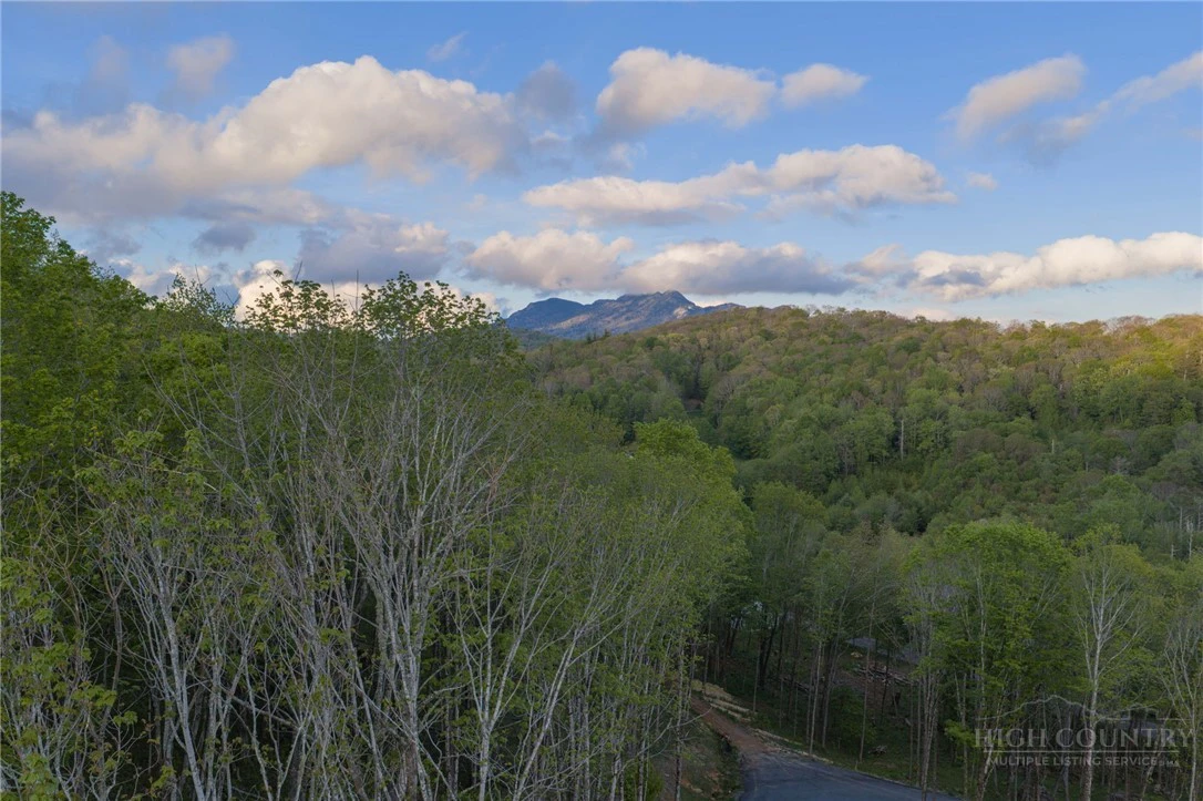 Image number 10 for the current listing