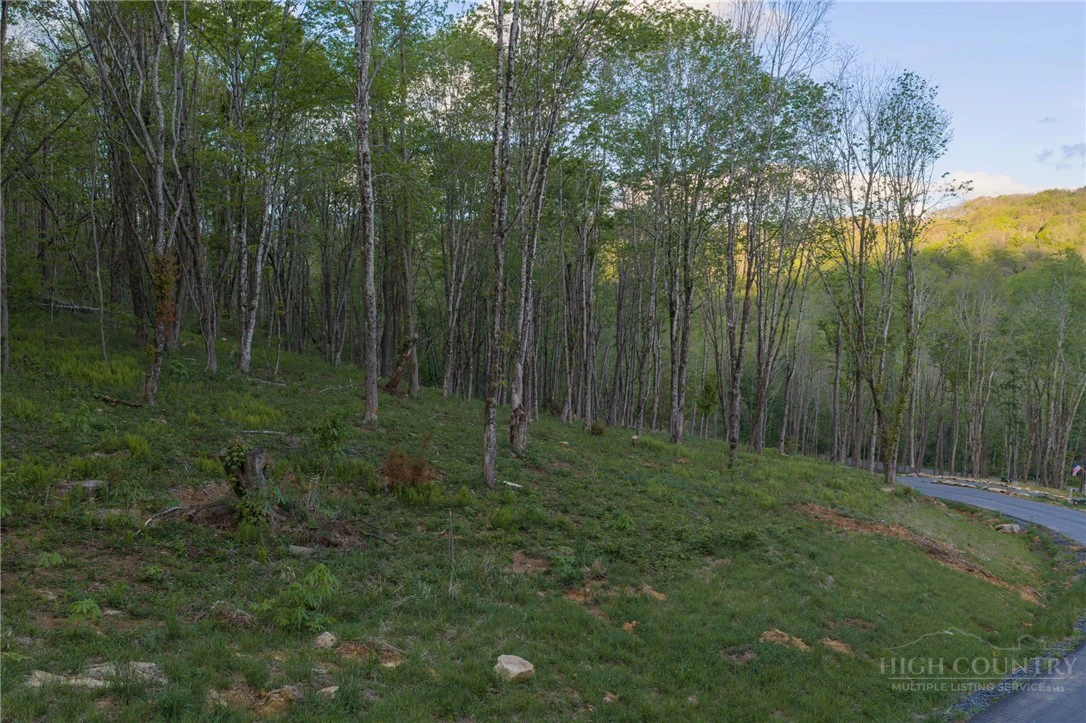 Image number 11 for the current listing