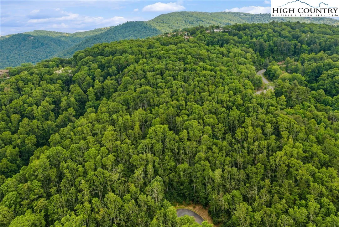 Image number 3 for the current listing