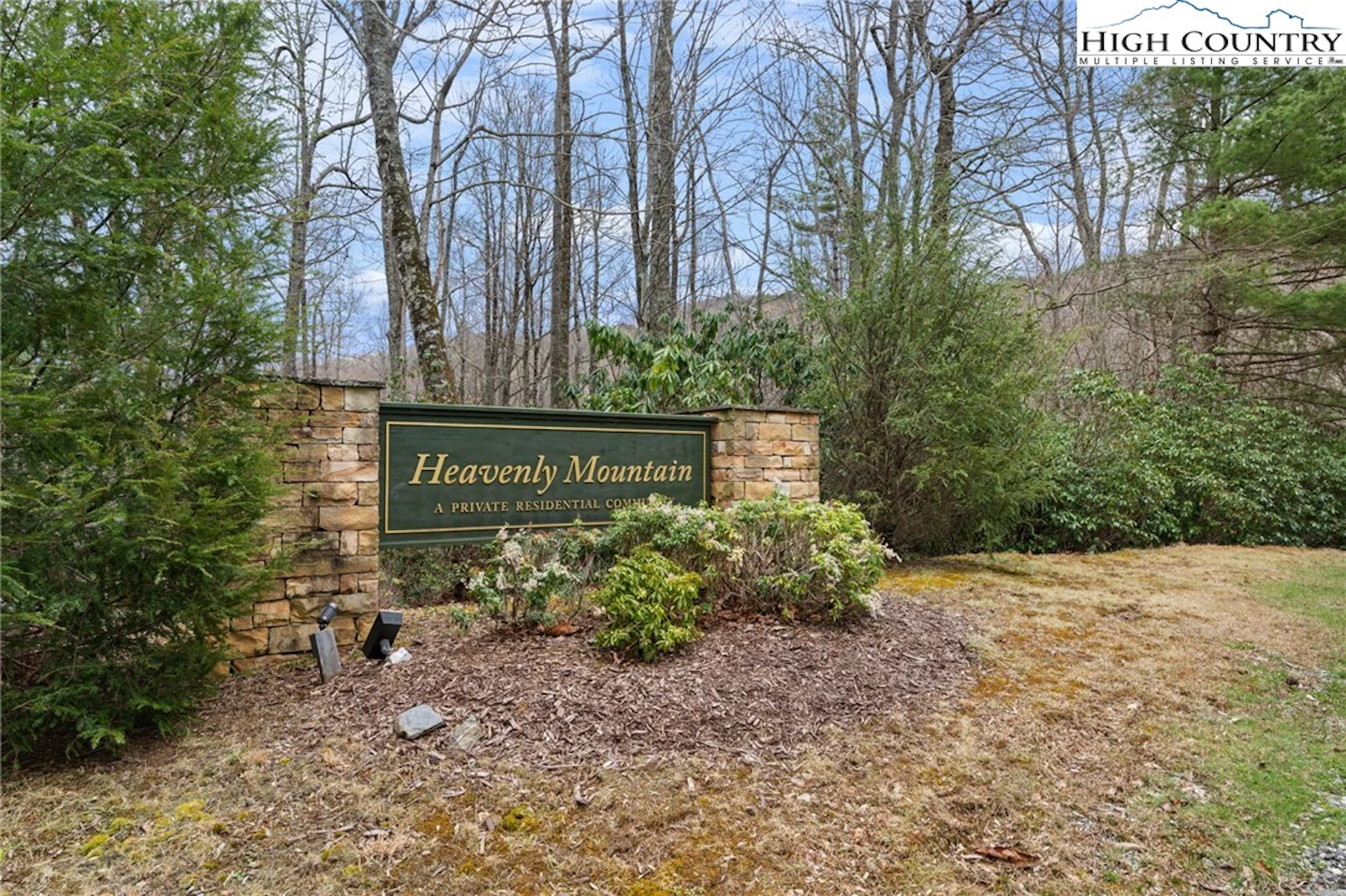 Image number 5 for the current listing
