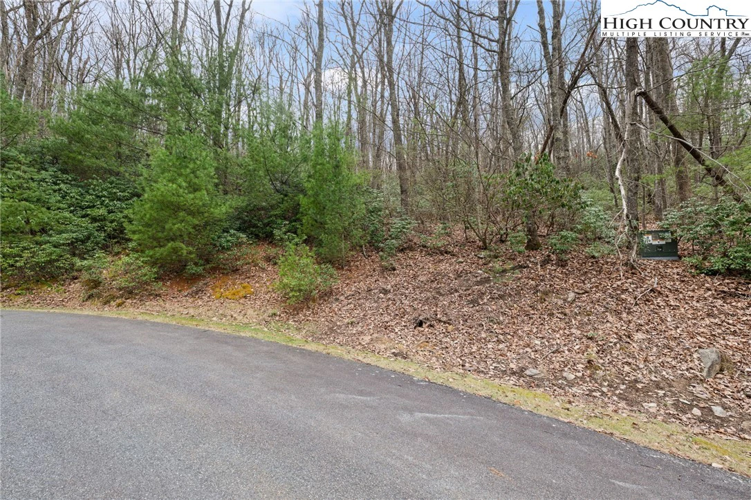 Image number 7 for the current listing