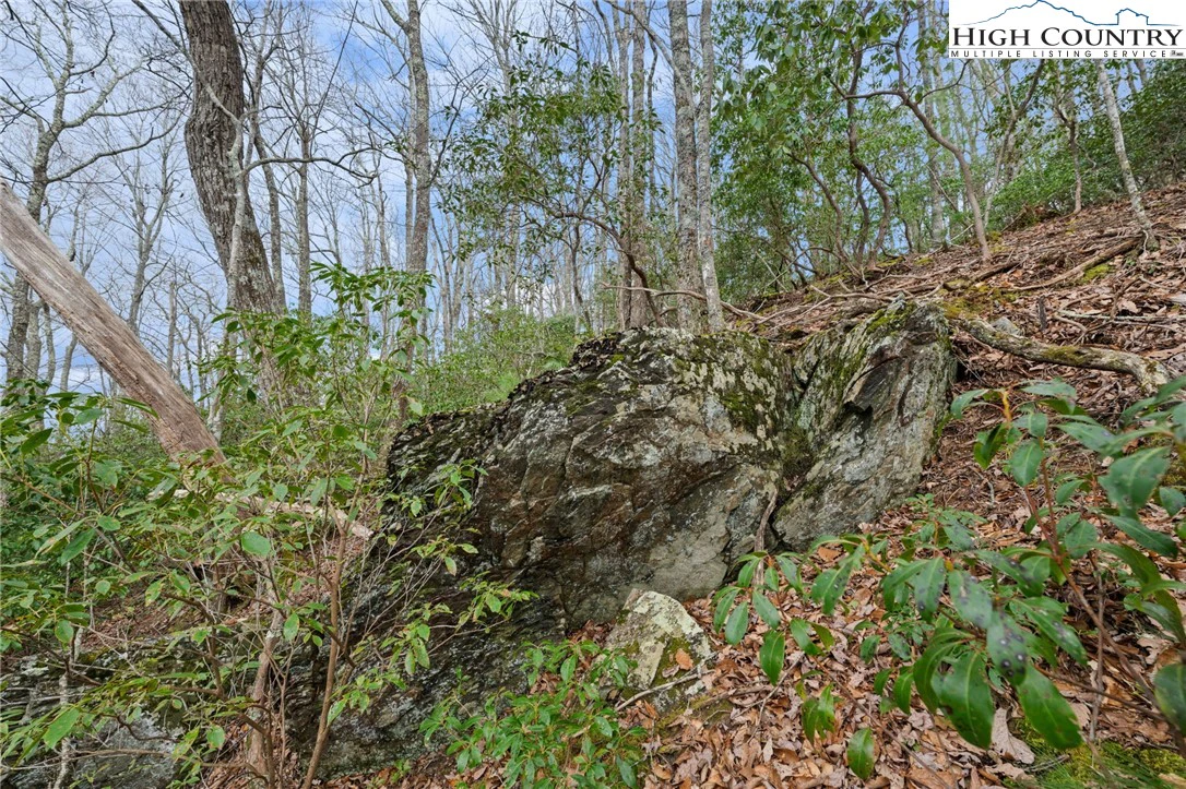 Image number 11 for the current listing
