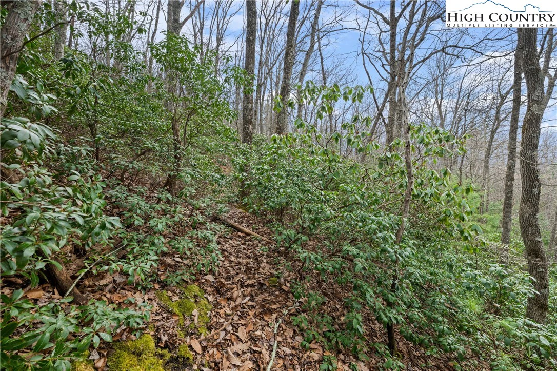 Image number 12 for the current listing