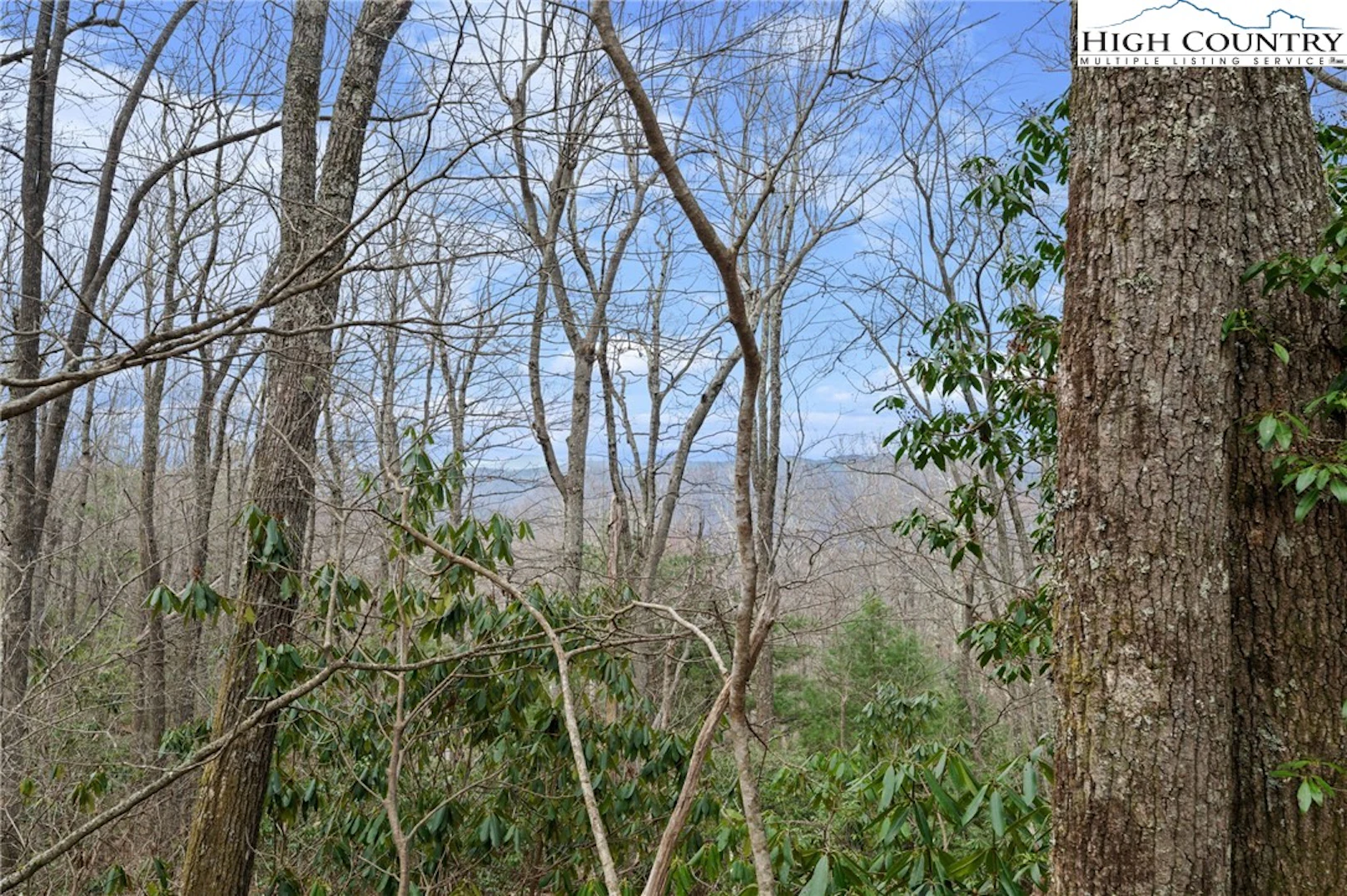Image number 14 for the current listing