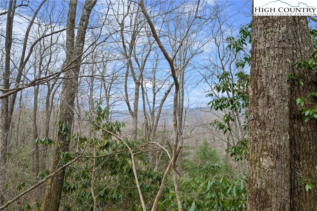 Image number 14 for the current listing