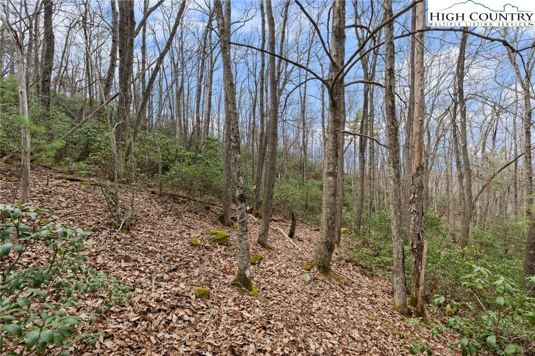 Image number 13 for the current listing
