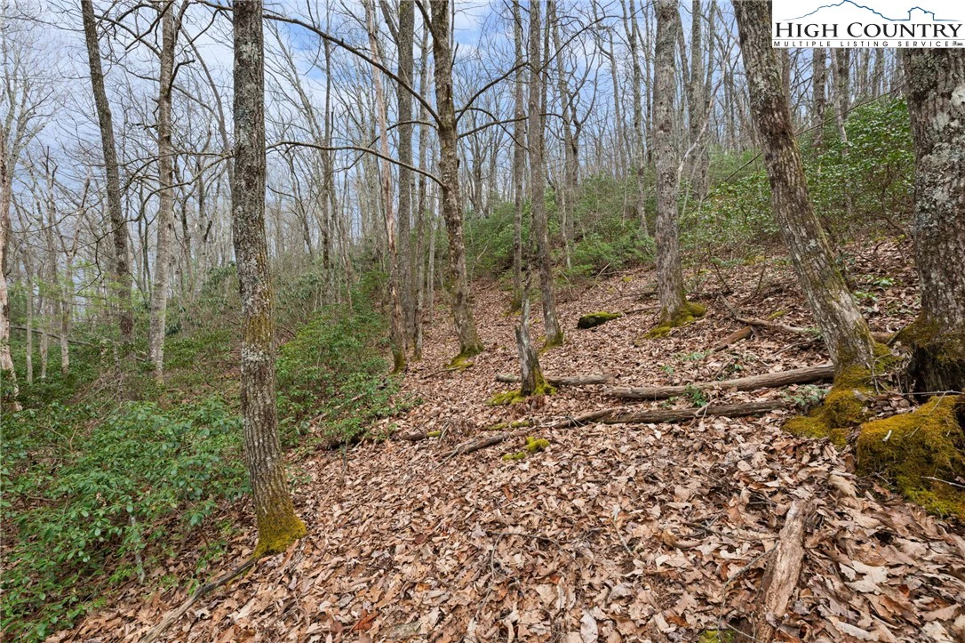 Image number 8 for the current listing