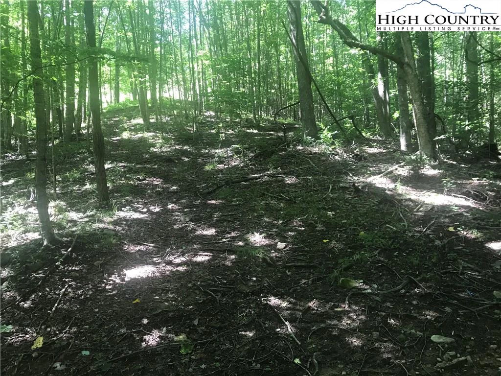 Image number 11 for the current listing