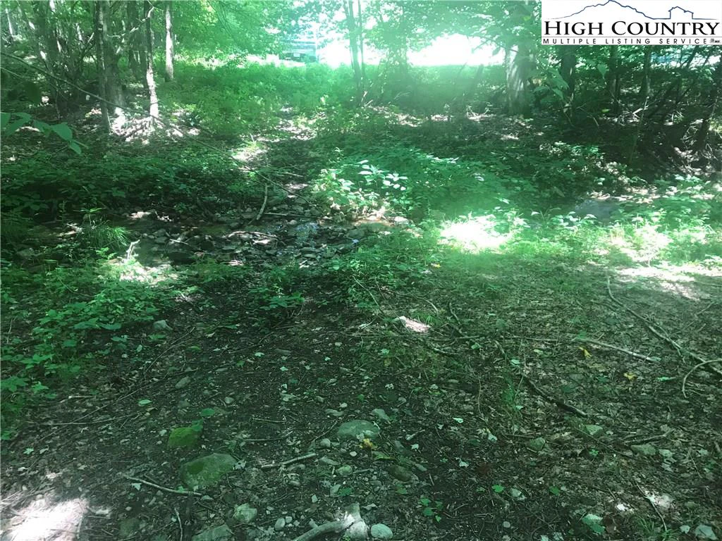 Image number 12 for the current listing