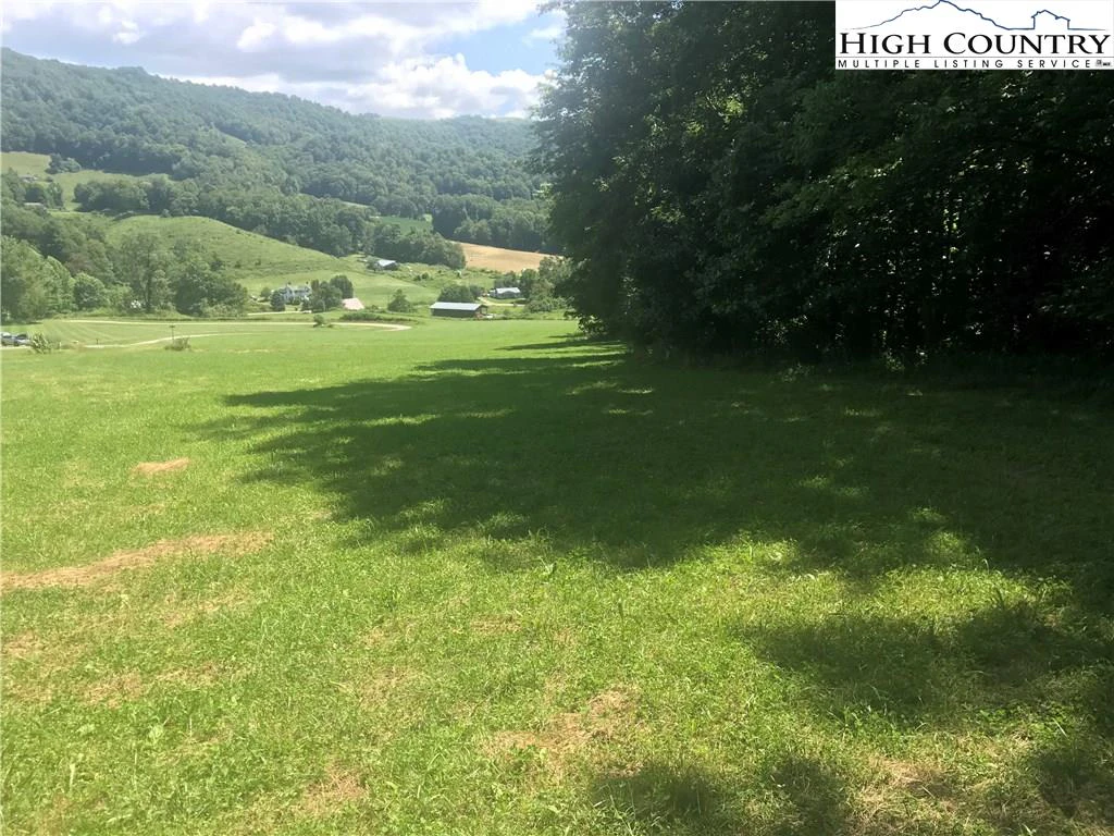 Image number 3 for the current listing