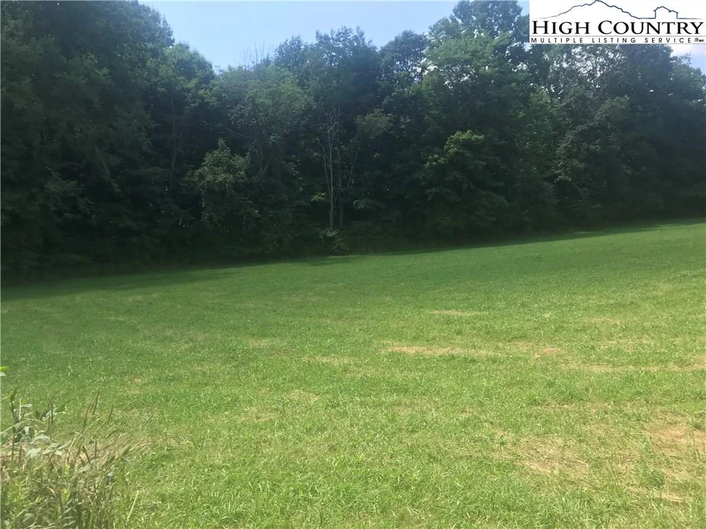 Image number 4 for the current listing