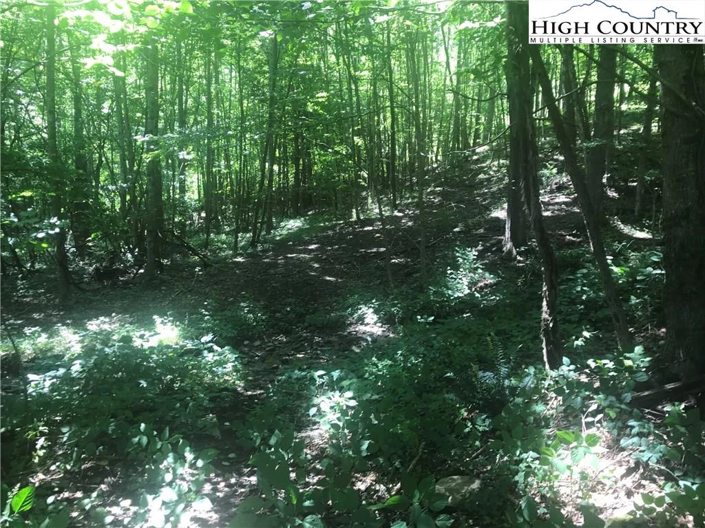 Image number 8 for the current listing