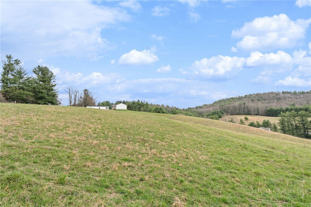 Image number 1 for the current listing