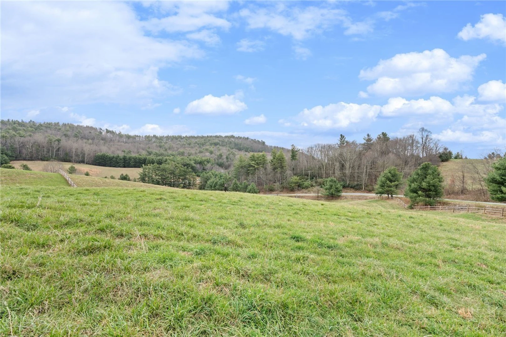 Image number 12 for the current listing