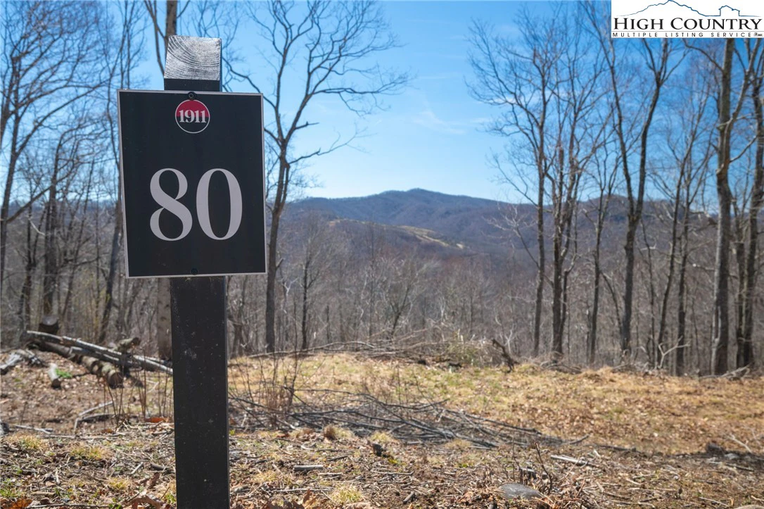Image number 1 for the current listing