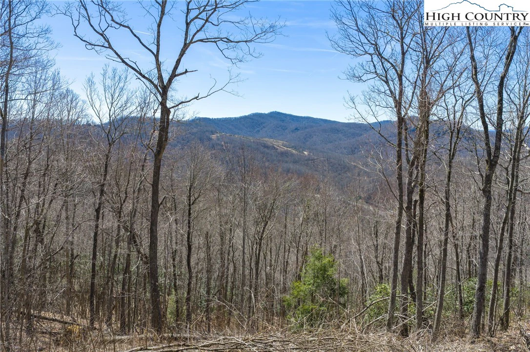 Image number 19 for the current listing