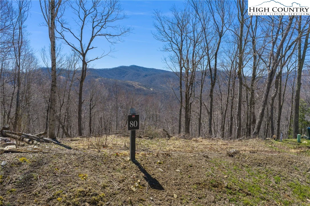 Image number 18 for the current listing