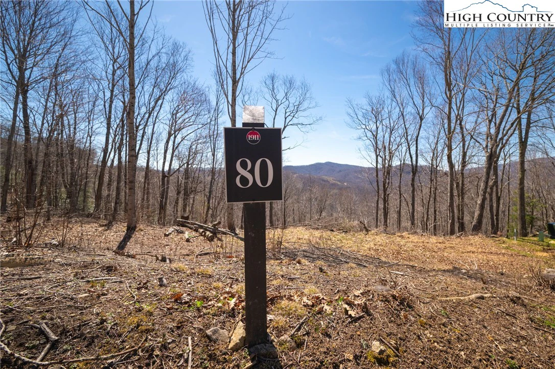 Image number 16 for the current listing