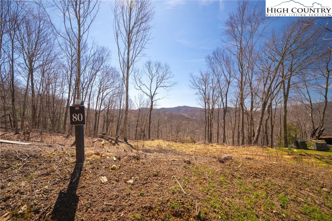 Image number 15 for the current listing