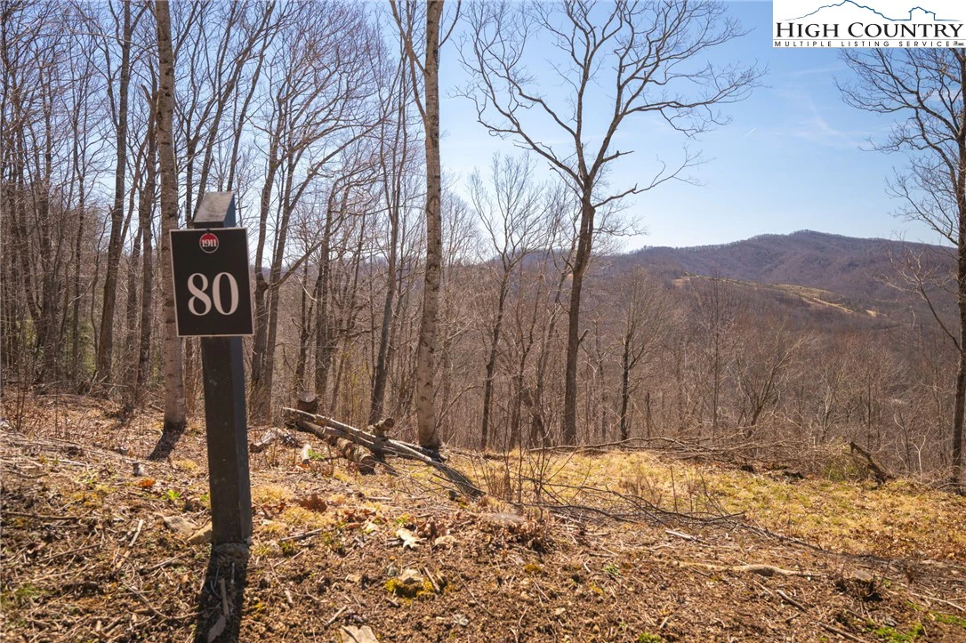 Image number 14 for the current listing
