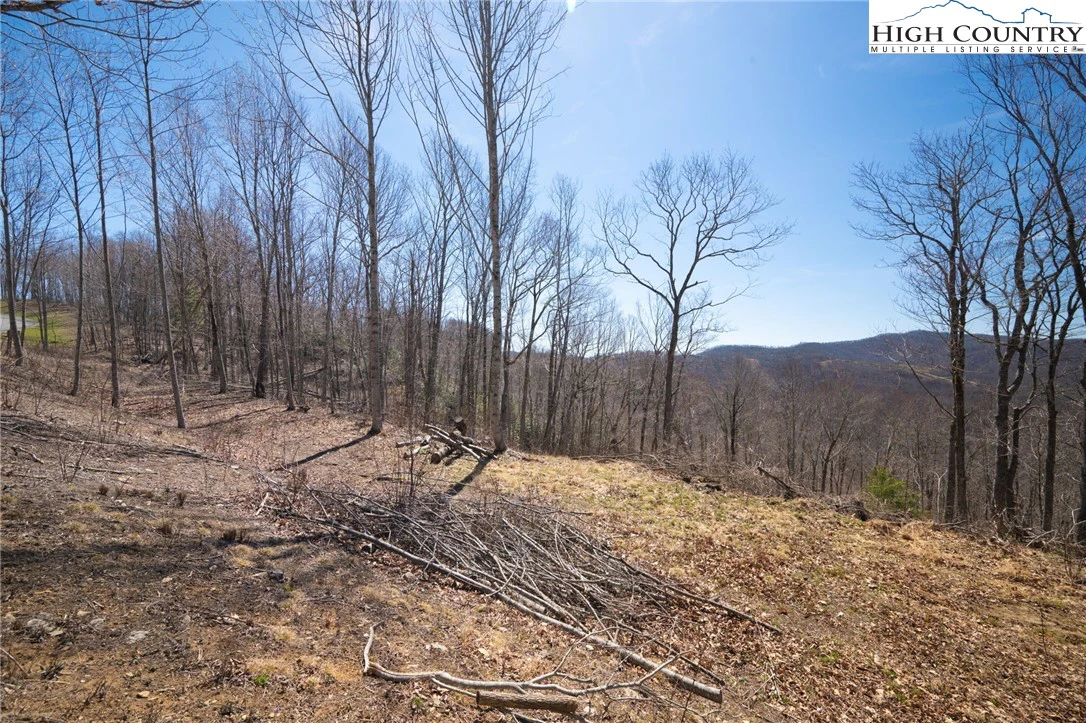 Image number 13 for the current listing