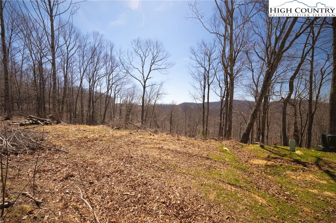 Image number 12 for the current listing