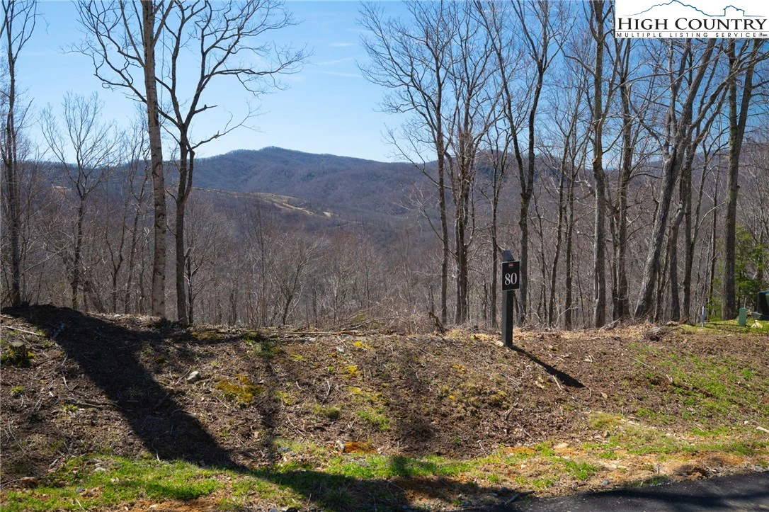 Image number 11 for the current listing