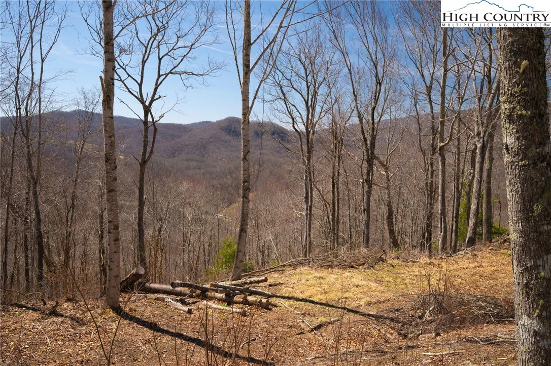 Image number 10 for the current listing