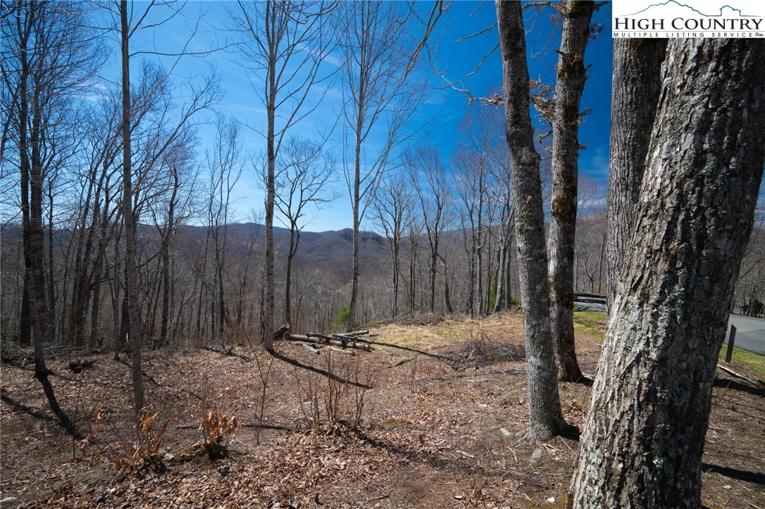 Image number 9 for the current listing