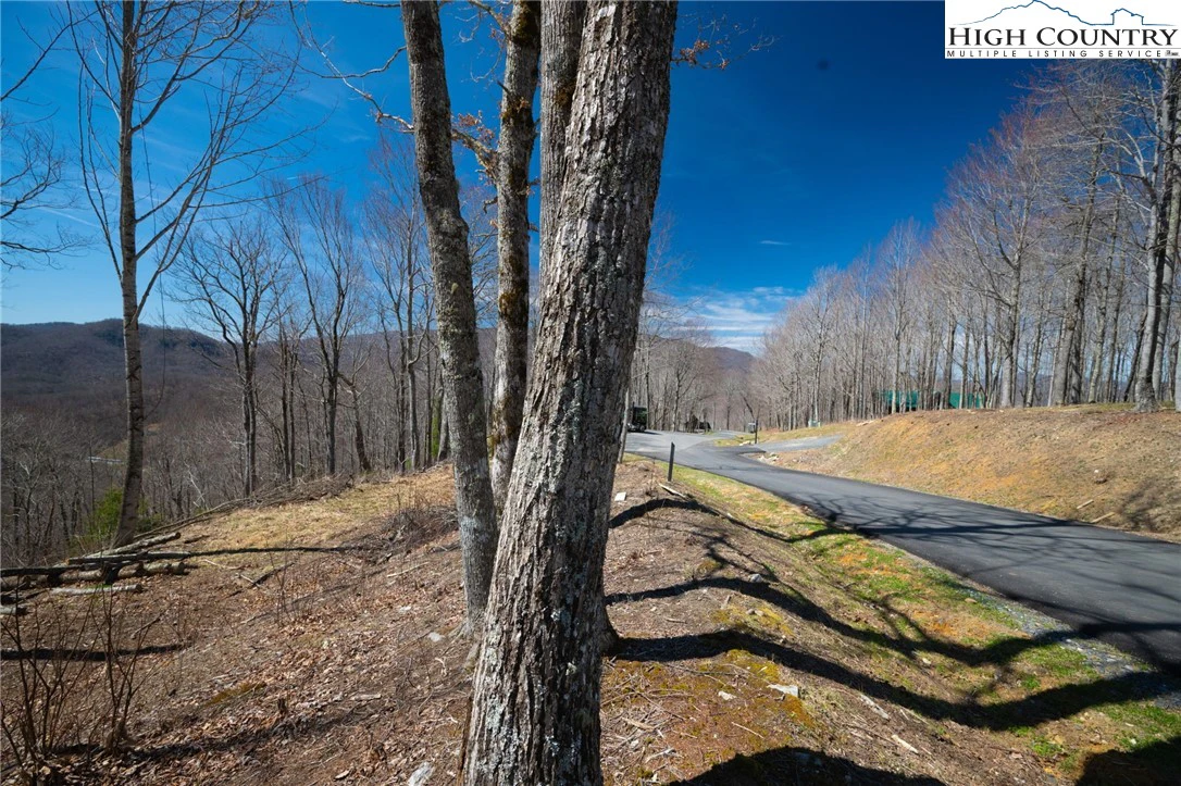 Image number 8 for the current listing