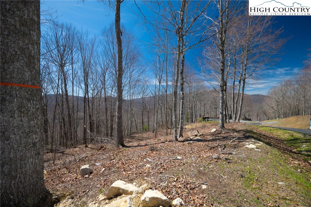 Image number 7 for the current listing
