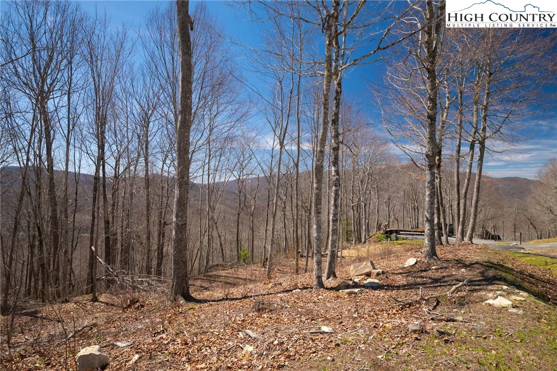 Image number 6 for the current listing