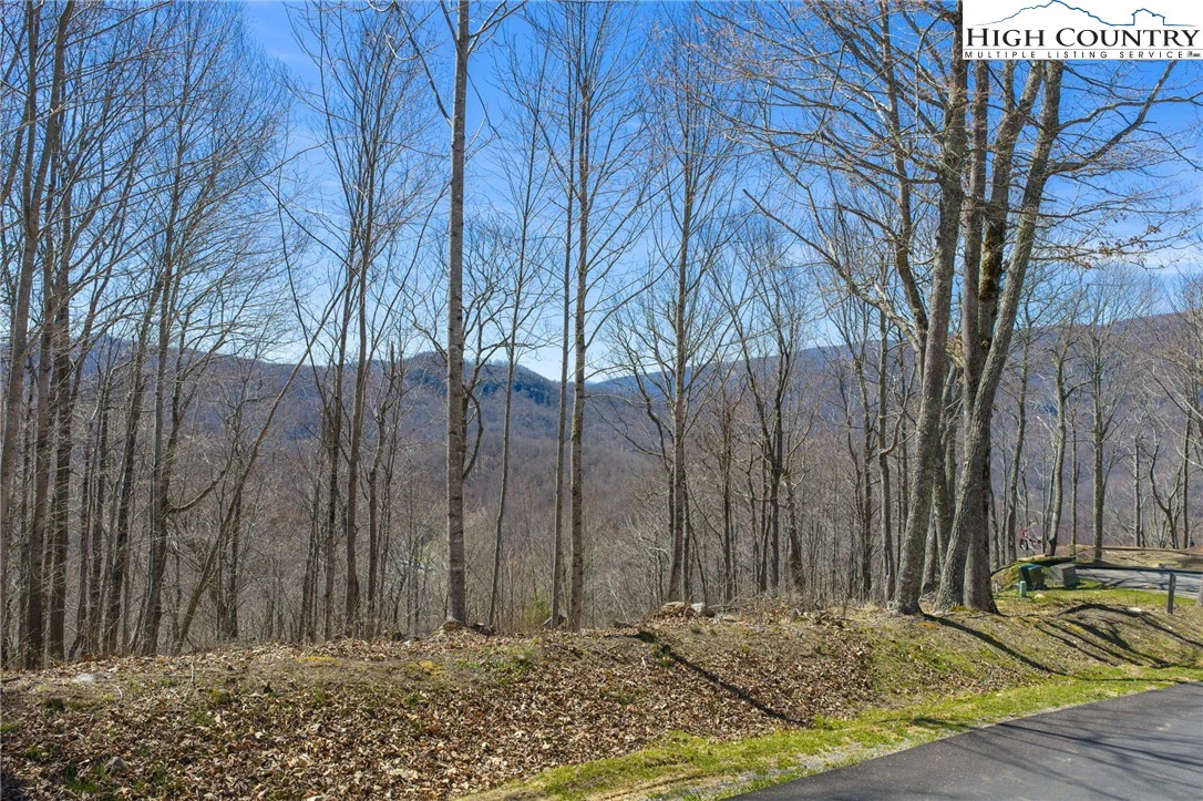 Image number 5 for the current listing