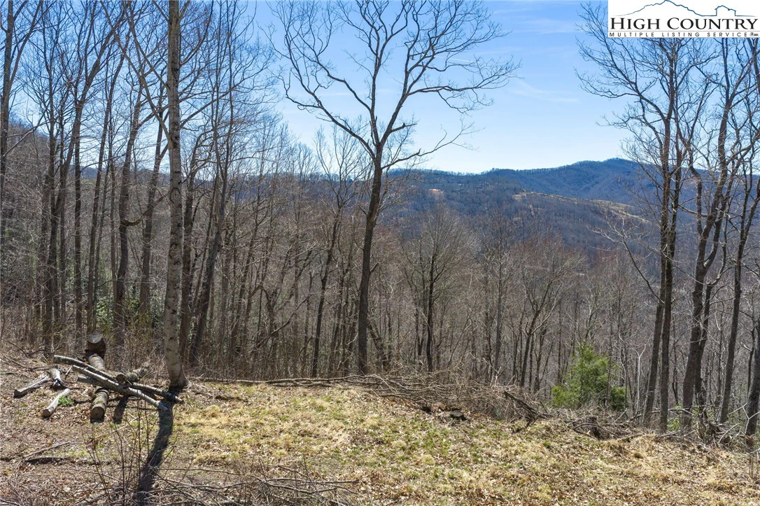 Image number 4 for the current listing