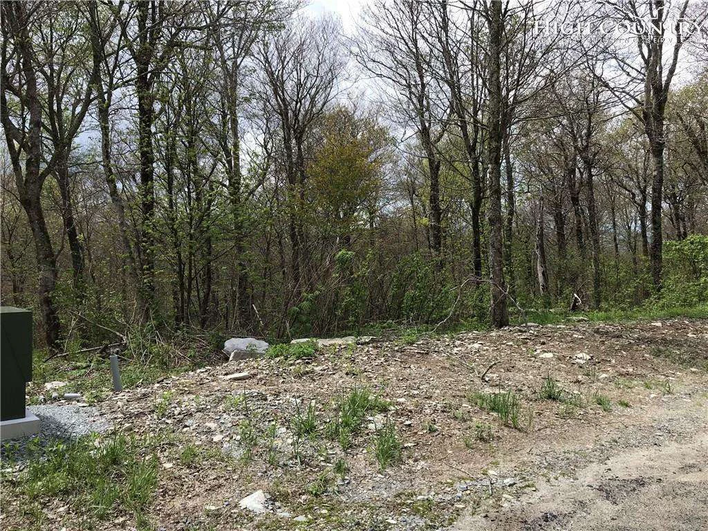 Image number 3 for the current listing